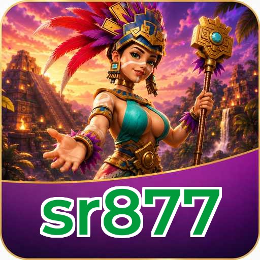 sr877 APK Structure