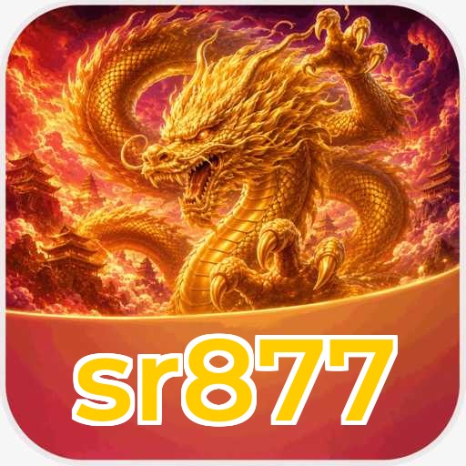 sr877 APK Structure