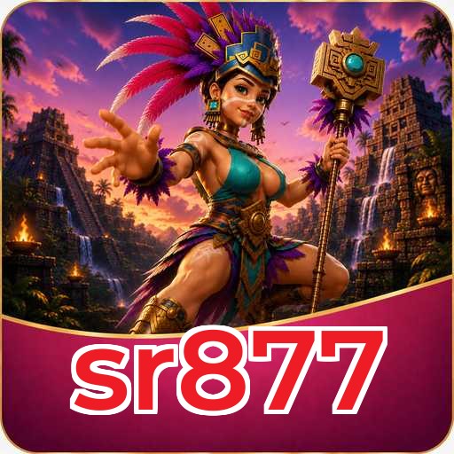 sr877 APK Structure