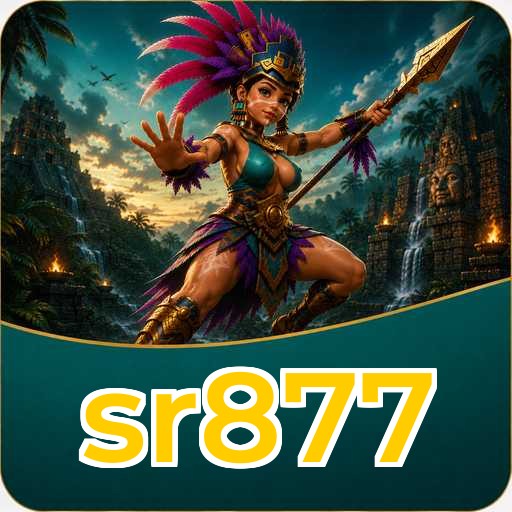 sr877 APK Structure